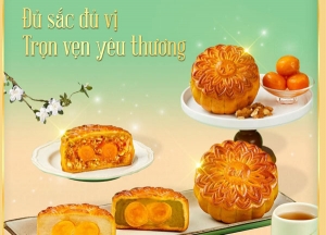 Bánh trung thu givral nhân thập cẩm